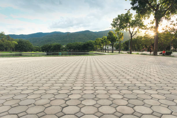 Best Residential Paver Driveway  in Roseland, FL